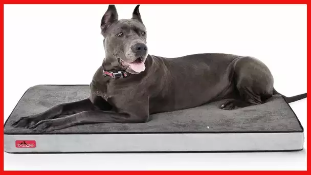 Brindle Waterproof Designer Memory Foam Pet Bed