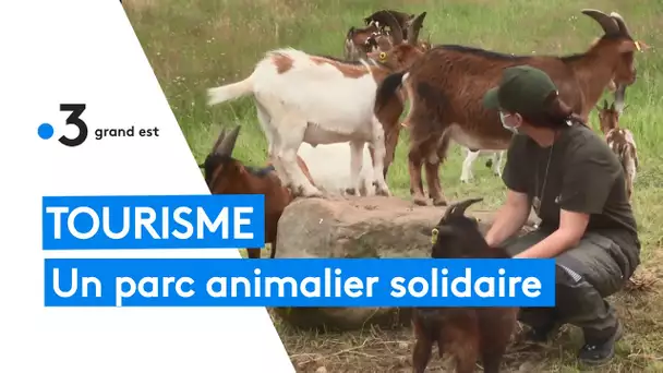 Tourisme : un parc animalier solidaire