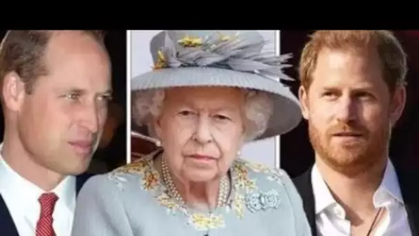 La reine est complètement d'accord" avec le prince William et le prince Harry qui tracent le chemin