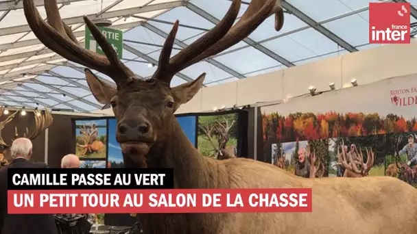 Un petit tour au Salon de la chasse