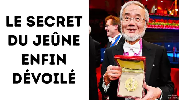 Comment le Secret du Jeûne de 24h a Reçu le Prix Nobel