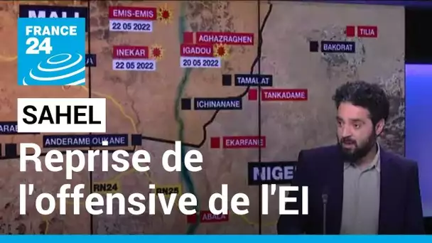 Reprise de l’offensive du groupe Etat islamique au Sahel : quelles réponses du Mali et du Niger ?