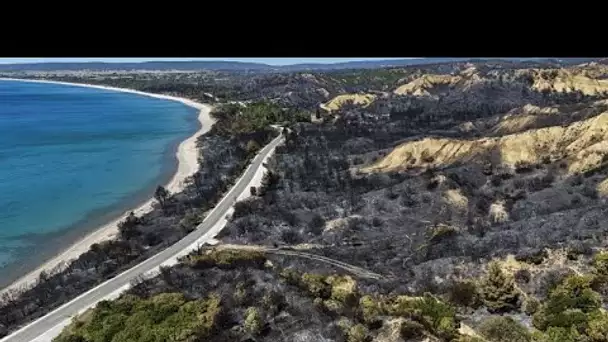 Incendie de forêts : le Portugal et l’Espagne durement touchés