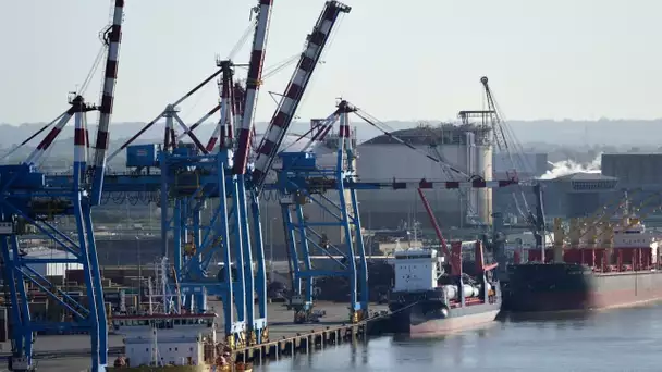 Autour de Saint-Nazaire, ces «nez bénévoles» qui traquent les mauvaises odeurs