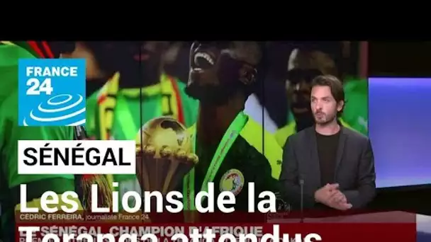 CAN-2022 : les Lions de la Teranga attendus par des milliers de Sénégalais à Dakar • FRANCE 24