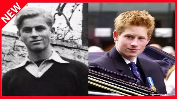 ✅  Le prince Harry sosie de son grand-père Philip : la photo qui attendrit la toile