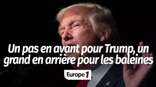 A la Une - Un pas en avant pour Trump, un grand pas en arrière pour les baleines