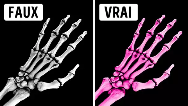 Des faits stupéfiants sur le corps que vous ne croirez jamais sans preuve