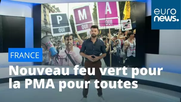 Nouveau feu vert pour la PMA en France, mais la GPA reste la "ligne rouge du gouvernement"