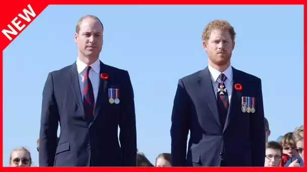 ✅  Harry et William en froid : quand se reverront-ils ?