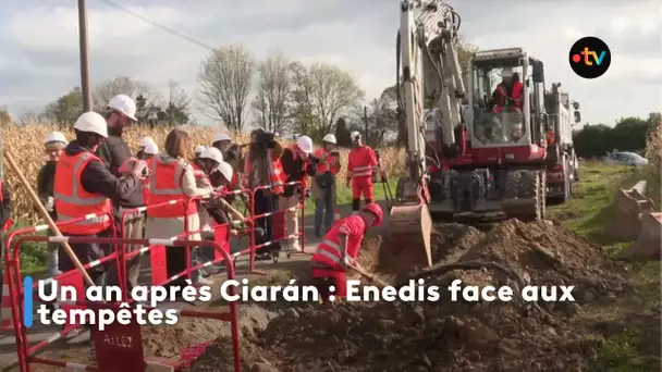 Un après  Ciarán: Enedis face aux tempêtes