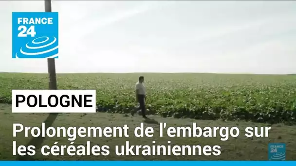 La Pologne prête à prolonger son embargo sur les céréales ukrainiennes • FRANCE 24