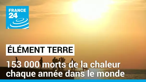 La chaleur estivale cause chaque année plus de 153 000 morts (étude) • FRANCE 24