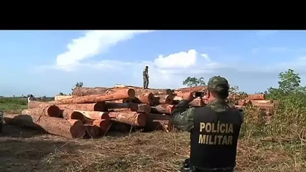 La déforestation de la forêt amazonienne atteint des records