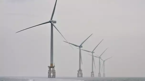 Sur l'Île d'Oléron, un projet d'éoliennes offshore suscite l'inquiétude