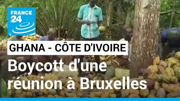 Côte d'Ivoire - Ghana : les deux pays producteurs de cacao boycottent la réunion à Bruxelles