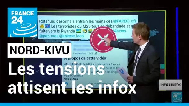 Nord-Kivu : les frappes aériennes congolaises contre le M23 alimentent les infox • FRANCE 24