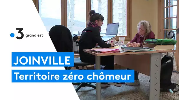 Joinville, territoire zéro chômeur de longue durée