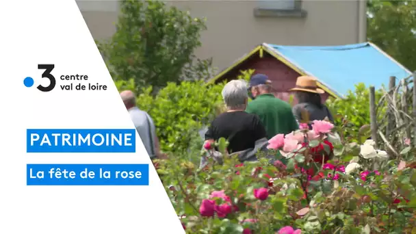 Chédigny : le traditionnel festival de la rose, la fleur qui l'a rendu célèbre