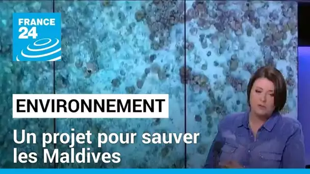 Environnement : lutter contre la pollution plastique et sauver les Maldives • FRANCE 24