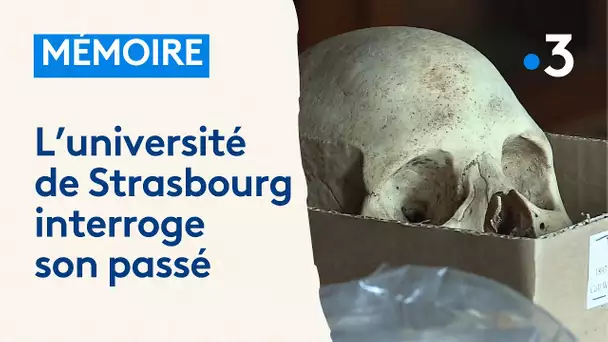 Des restes humains africains identifiés dans les collections de l'université de Strasbourg