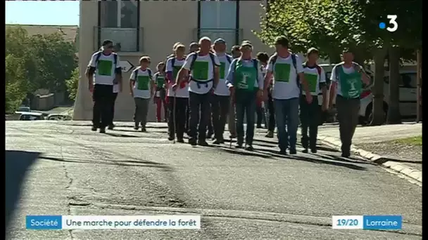 La marche pour l&#039;avenir de la forêt