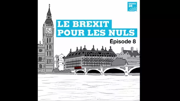 Le Brexit pour les nuls : Boris et le Brexit