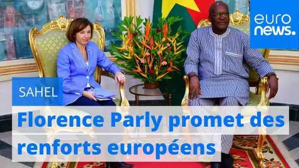 Sahel : Florence Parly promet des renforts européens