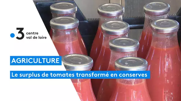 Agriculture : à Orléans, la surproduction de tomates est transformée en conserves