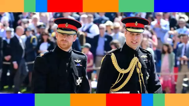 Prince Harry : pourquoi il a snobé l'invitation de son frère William à un rendez-vous secret pour fa