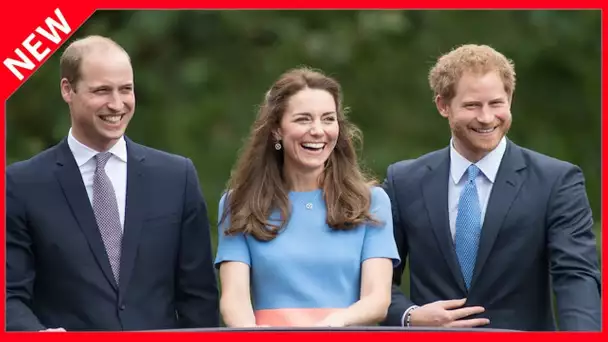 ✅  Prince William : désespéré, il a fait appel à la famille de Diana pour ralentir Harry avant son m