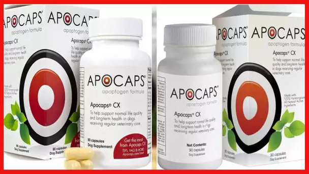 Apocaps CX Apoptogen Formula for Dogs , 90 Count (Pack of 1)