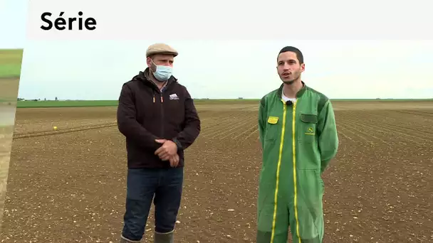 SERIE. Découvrez l'opinion du syndicat des Jeunes Agriculteurs face à la nouvelle PAC