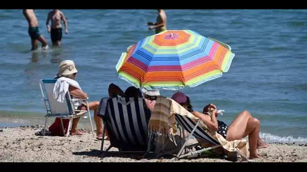 Première baignade pour les aoûtiens : "En voyant la mer, le mode vacances est activé"