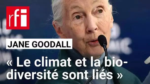 Jane Goodall: «Le climat et la biodiversité sont liés» • RFI