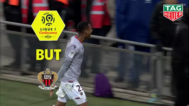 But Christophe HERELLE (90' +5) / Toulouse FC - OGC Nice (0-2)  (TFC-OGCN)/ 2019-20