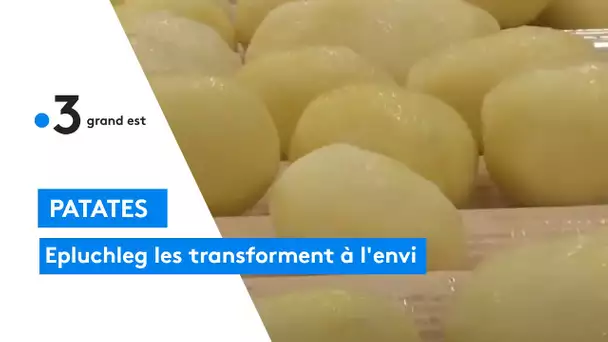 Epluchleg, entreprise familiale spécialisée dans la transformation des pommes de terre