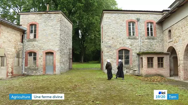 Tarn  : appel à candidature des Benédictines de Dourgne  pour la ferme de l'abbaye