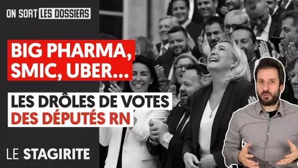 BIG PHARMA, SMIC, UBER, LES DRÔLES DE VOTES DES DÉPUTÉS RN