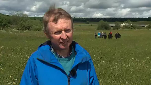 Préserver la diversité des espèces fourragères pour lutter contre les aléas climatiques