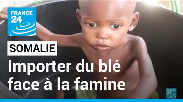 Famine en Somalie : Emmanuel Macron annonce financer le transport du blé ukrainien • FRANCE 24