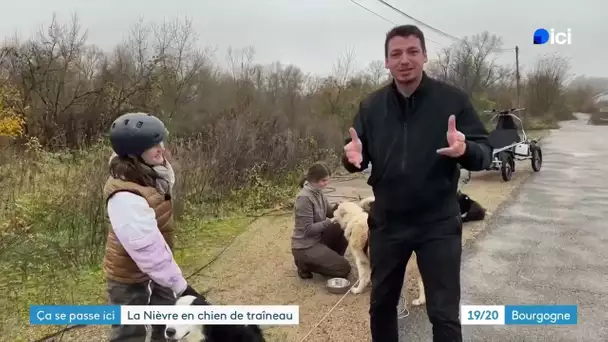 Ça se passe ici - à Nevers (Nièvre) : Balade en chiens de traîneau dans la Nièvre