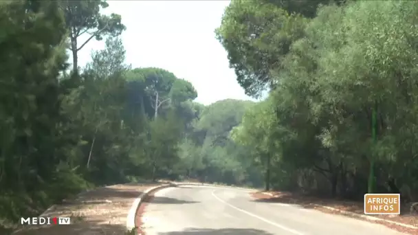 Maroc : le feu dans la forêt de Slouqya bientôt totalement maîtrisé