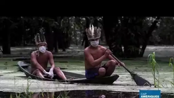 Épidémie de coronavirus : En Amazonie, les peuples autochtones en danger