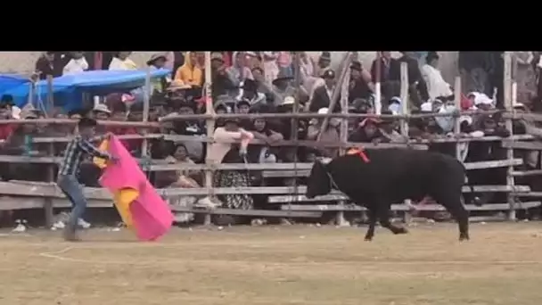 À Huarina, le plus grand festival de tauromachie de Bolivie