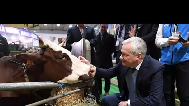 Bruno Le Maire et Eric Zemmour en opération séduction au Salon de l'Agriculture