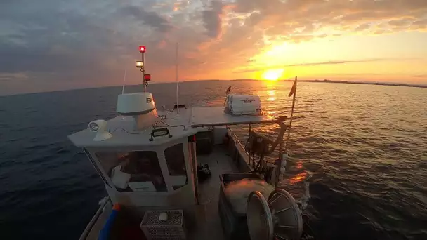 A Palavas-les-Flots dans l'Hérault les petits métiers de la pêche dans l'incertitude