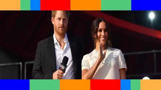 Meghan Markle et Harry hypocrites  Leur voyage en jet privé ne passe vraiment pas