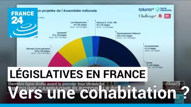 Législatives en France : retour sur une campagne éclair et historique • FRANCE 24