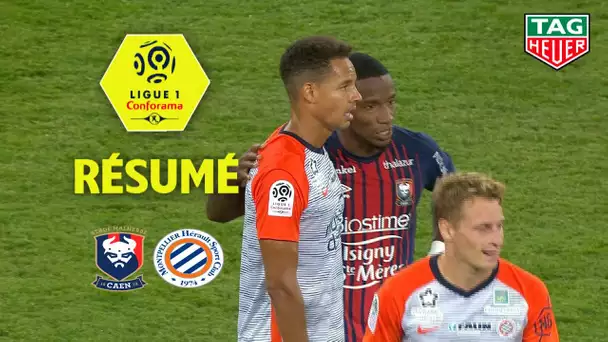 SM Caen - Montpellier Hérault SC ( 2-2 ) - Résumé - (SMC - MHSC) / 2018-19